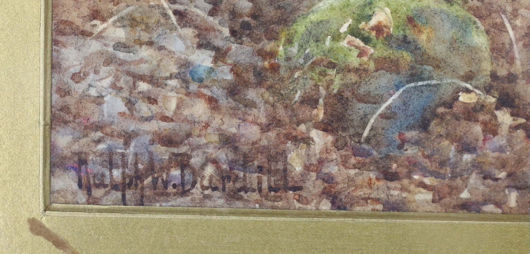 Ralph William Bardill (1876-1935), watercolour, 'A Wood in the Llugwy Valley', signed, 32 x 23cm